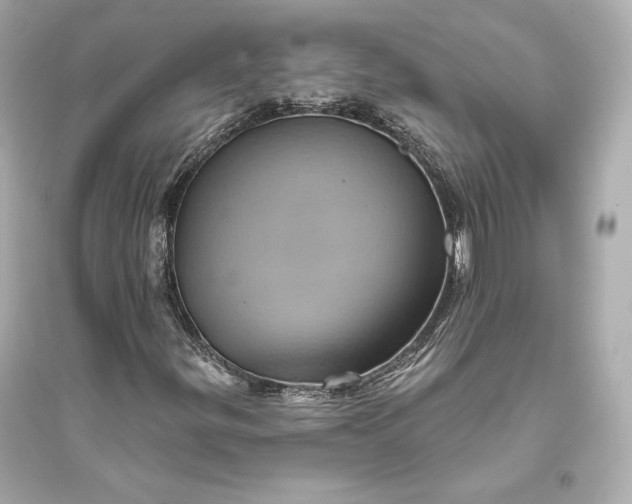 X0000094811299200711301542