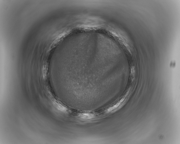 X0000094811300200711301542