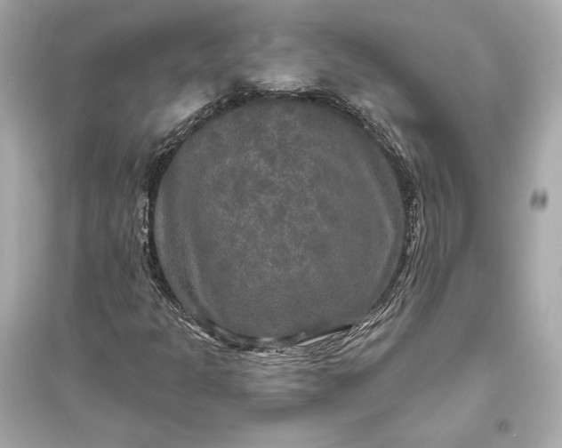 X0000094811301200711301542