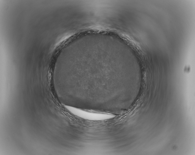 X0000094811302200711301543