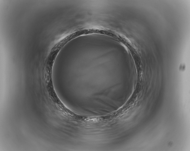 X0000094811303200711301543