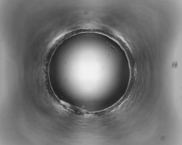 X0000094811304200711301543