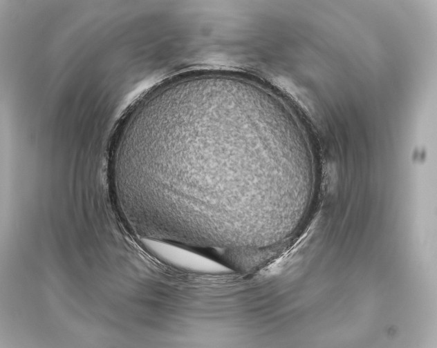 X0000094811307200711301543