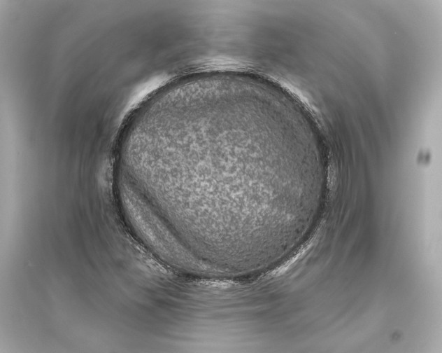 X0000094811309200711301543