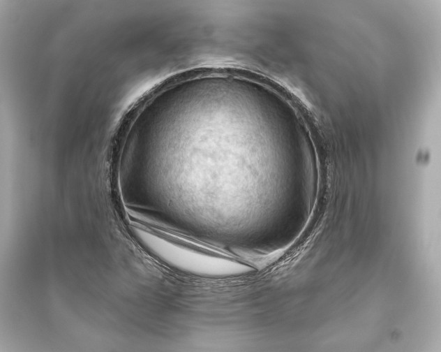 X0000094811311200711301543