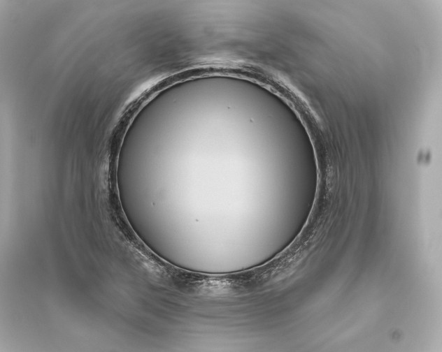 X0000094811315200711301543