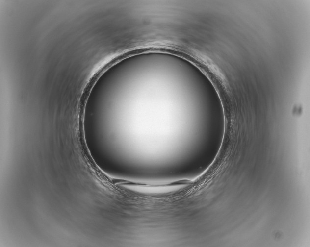 X0000094811316200711301543