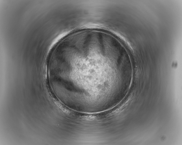 X0000094811317200711301543