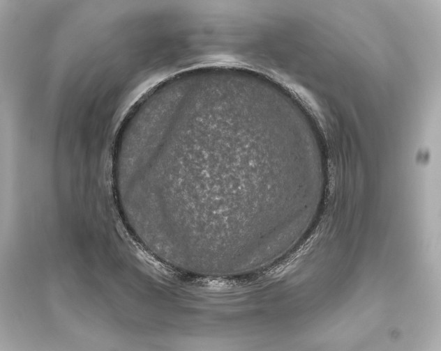 X0000094811318200711301543