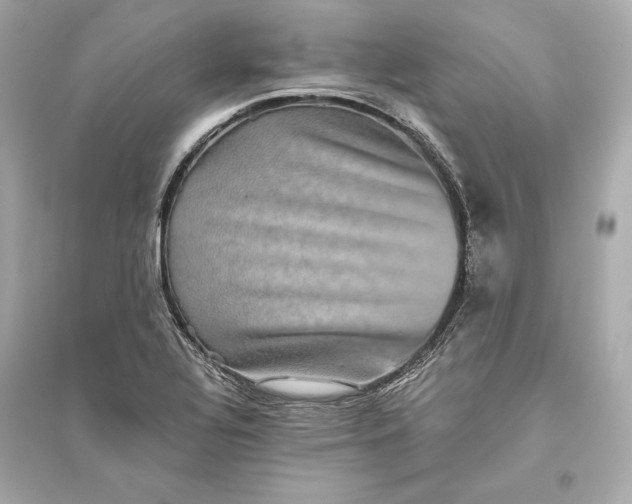 X0000094811320200711301543