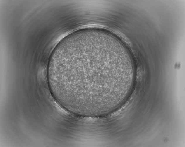 X0000094811321200711301543