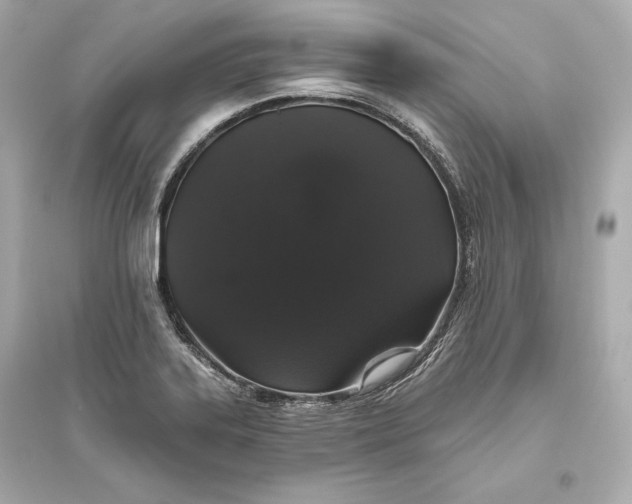 X0000094811323200711301543