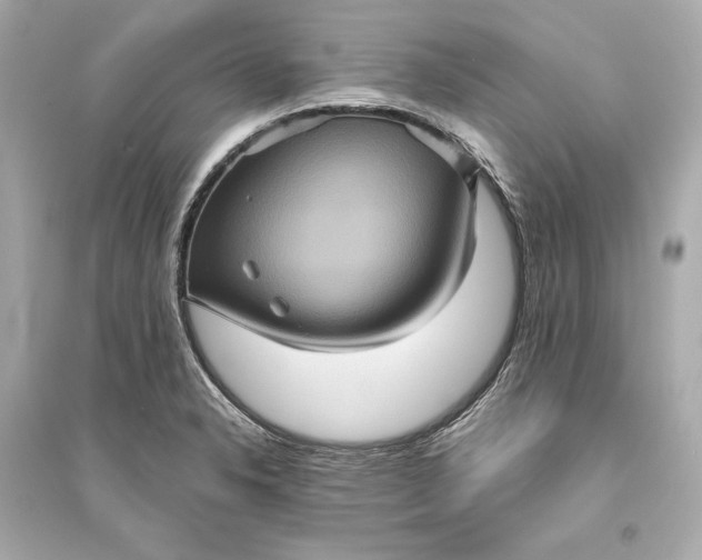 X0000094811326200711301543