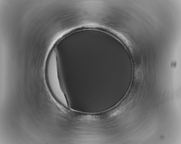 X0000094811327200711301543