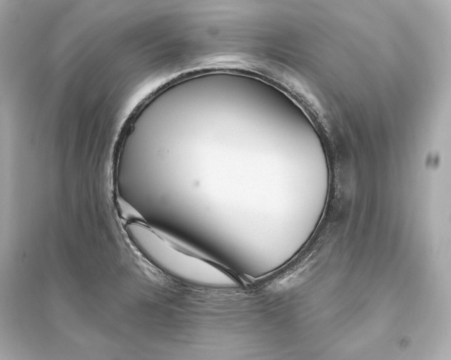 X0000094811328200711301543