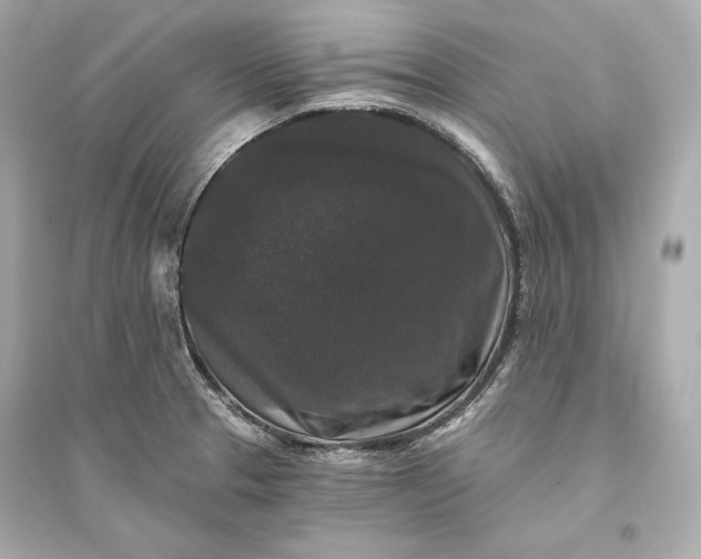 X0000094811329200711301543