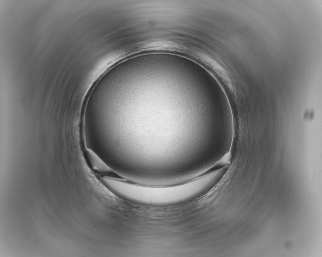 X0000094811330200711301543