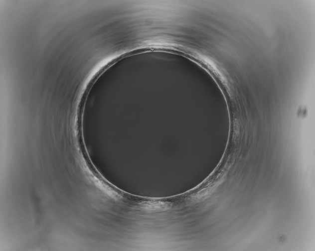 X0000094811331200711301543