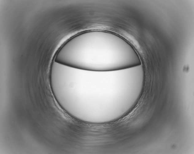 X0000094811332200711301543