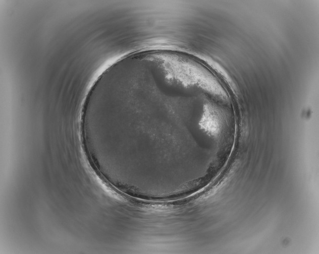 X0000094811333200711301543