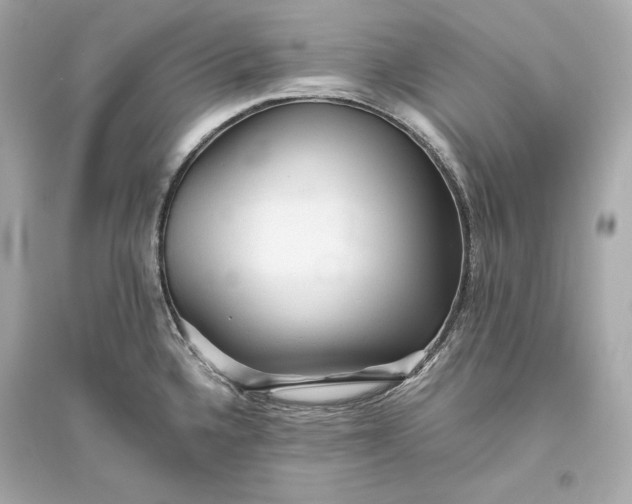 X0000094811336200711301543