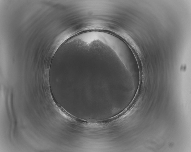 X0000094811337200711301543