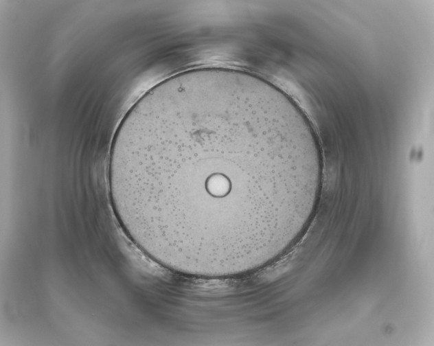 X0000094811338200711301543