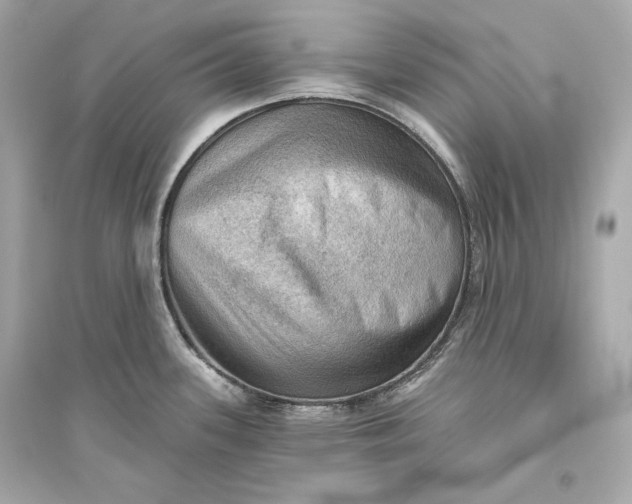 X0000094811339200711301543