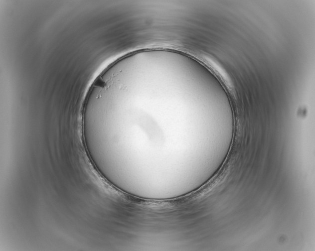 X0000094811340200711301543