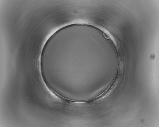 X0000094811343200711301543