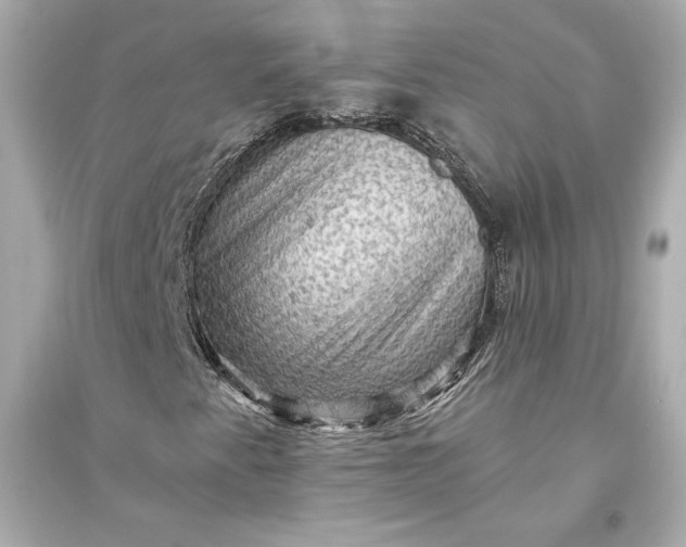 X0000094811345200711301542