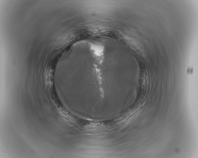 X0000094811346200711301542