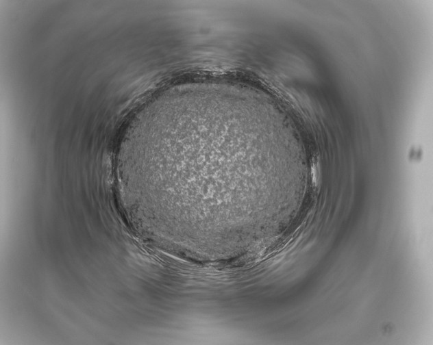 X0000094811347200711301542