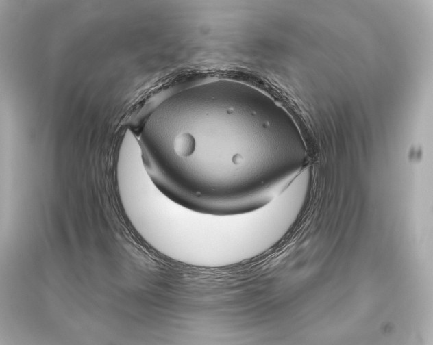 X0000094811348200711301542