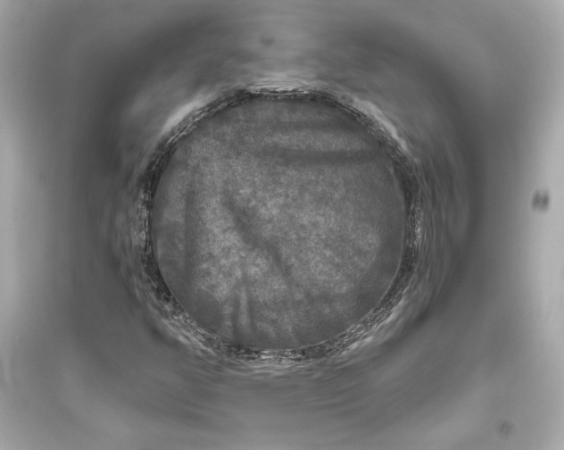 X0000094811350200711301542