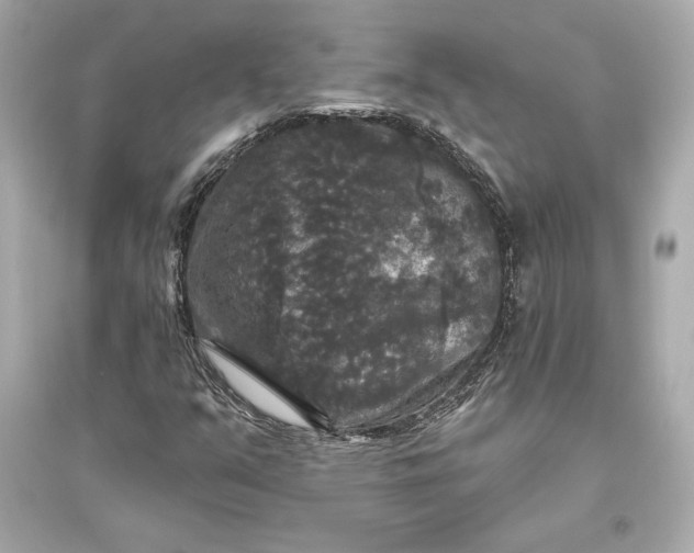 X0000094811351200711301542