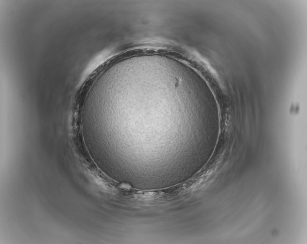 X0000094811352200711301542