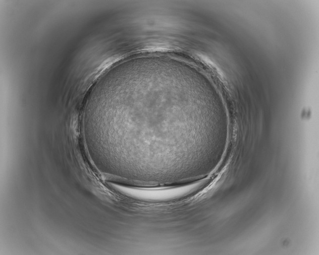 X0000094811353200711301542