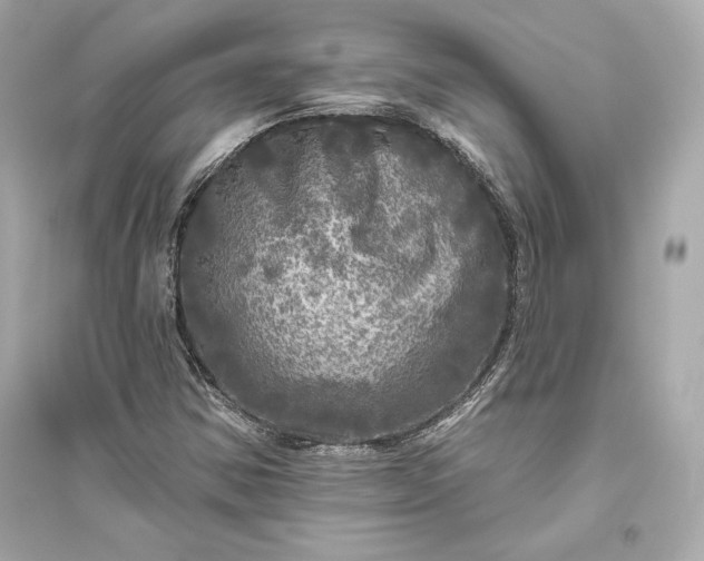 X0000094811354200711301542