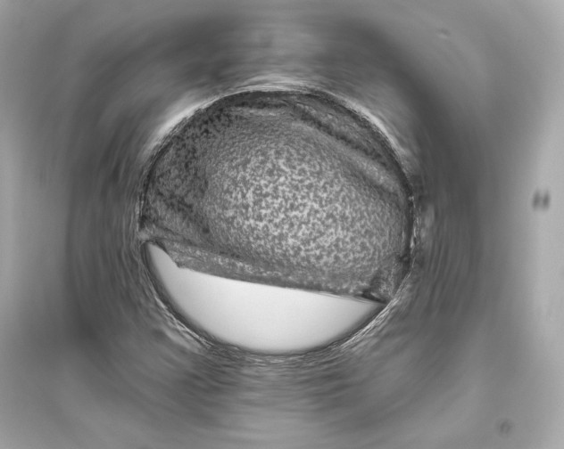 X0000094811355200711301542