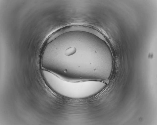 X0000094811356200711301542