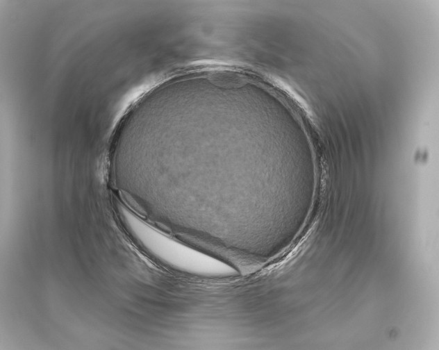 X0000094811357200711301542