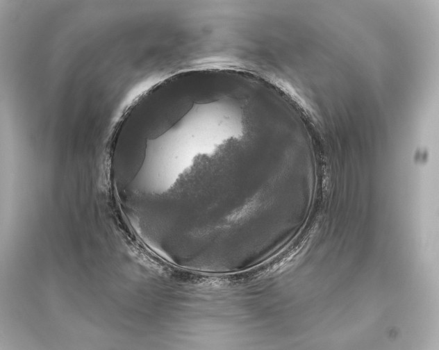 X0000094811358200711301542