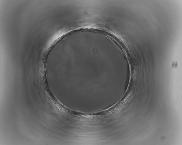 X0000094811359200711301542