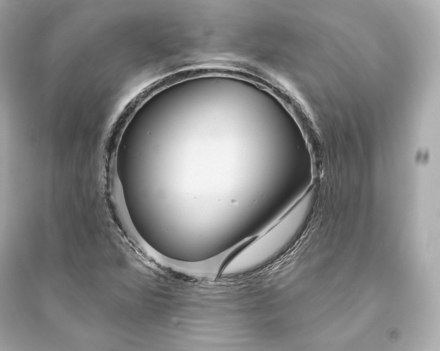 X0000094811360200711301542