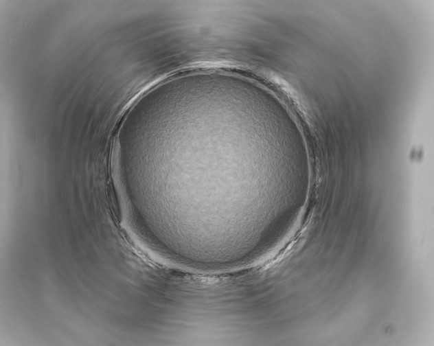 X0000094811361200711301542