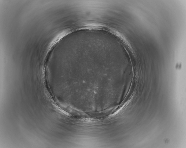 X0000094811362200711301542