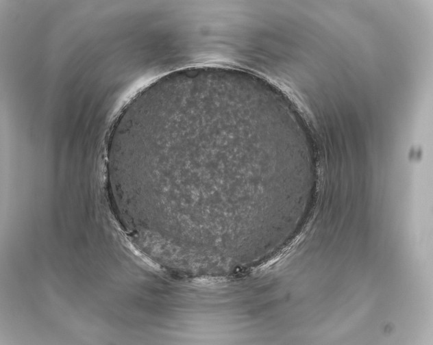 X0000094811363200711301542