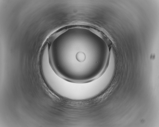 X0000094811364200711301542