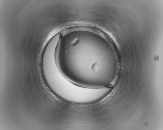 X0000094811365200711301542